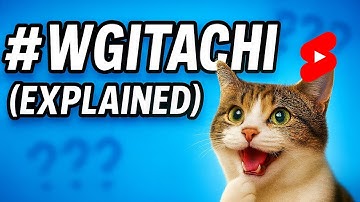 The #wgitachi + #gamtng meaning EXPLAINED! 