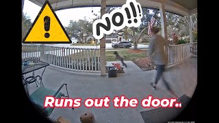 Puppy Runs Out the Door into the Street! 😖 Caught on Ring Camera by Steve's Tips, Tech, and Tackle 68 views 3 months ago 1 minute, 40 seconds