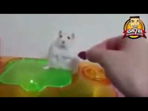 ملعون ابوك يا فأر