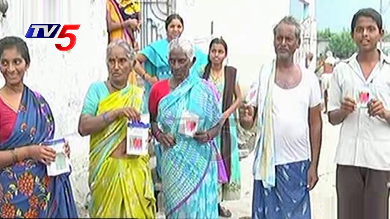 Agriculture Officers fail To Control Fake Seeds Mafia |Guntur | Annapurna | Telugu News | TV5 News