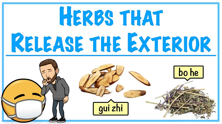 Herbs that Release the Exterior - Introduction to Chinese Herbology in TCM - DayDayNews