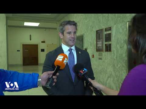 საქართველოს საპარლამენტო დელეგაცია ვაშინგტონში