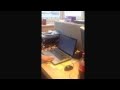 How to crash your computer