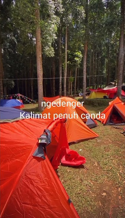 Story WA: 'Kurang Piknik - Jamrud'. #short  #shorts  #shortvideo