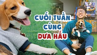 Cuối tuần của Dưa Hấu Tung Tăng // Đi ăn bún đậu, xôi chè bà Thìn, thịt nướng