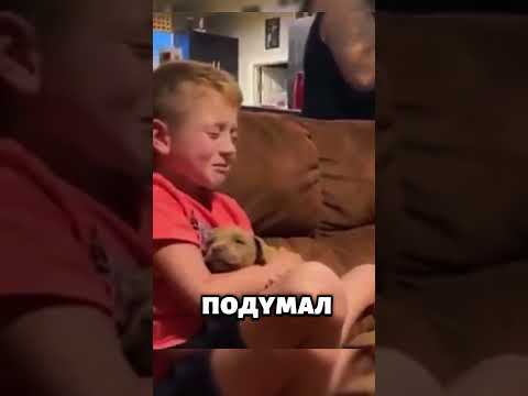 Мальчику подарили щенка — слёзы счастья! 😭🐶