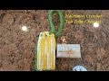 Tunisian Crochet Quick Easy Beginner Tawashi and Soap Saver DIY Tutorial Tunisian Crochet Quick Easy Beginner Tawashi and Soap Saver DIY Tutorial