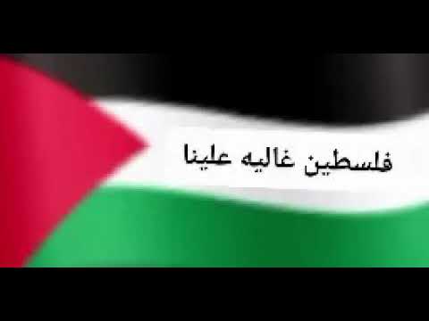 غاليه بلدنا علينا شرين