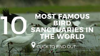 Top 10 Most Famous Bird Sanctuaries In The World