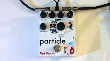 Red Panda Particle - reverse delay guitar demo