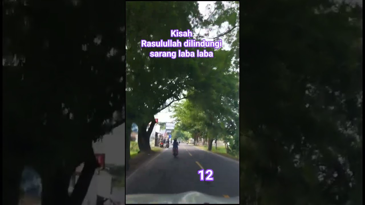 Rasulullah dilindungi sarang laba laba