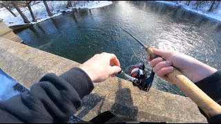 WINTER RIVER FISHING for ANYTHING THAT WILL BITE! (WALLEYE/BROWN TROUT CATCH)