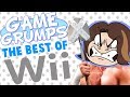 Game Grumps - The Best of WII SHOVELWARE