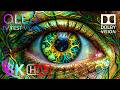 Intro Experience OLED Heaven - 8K Dolby Vision HDR 120FPS - Ultimate Relaxing Music