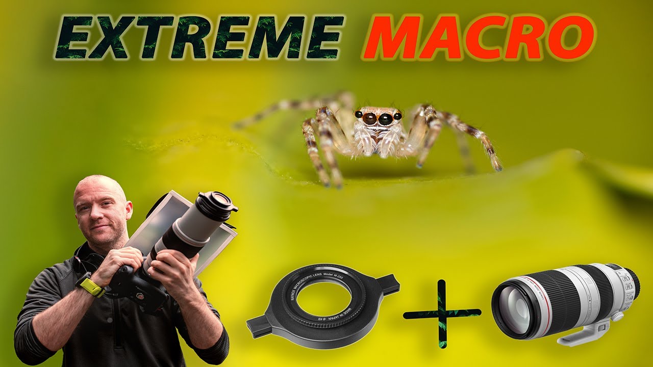 Canon 100-400mm + #Raynox DCR-250 для #макросъемки?! | Является ли это жизнеспособным вариантом?