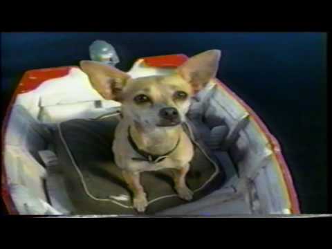 Taco Bell Chihuahua Johnny Knoxville Richard Speight Jr. Nachos TV Commercial