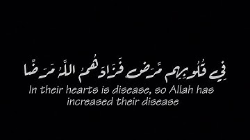 في قلوبهم مرض فزادهم الله مرضاً🌿كروما سورة البقرة🌿كروما عبدالله قرني🌿كروما ايات قرانية