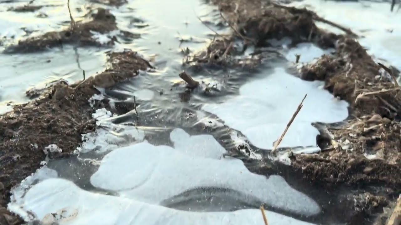 Quiet Morning Walk in the UK (While Everyone Sleeps) | No Talking Ambience