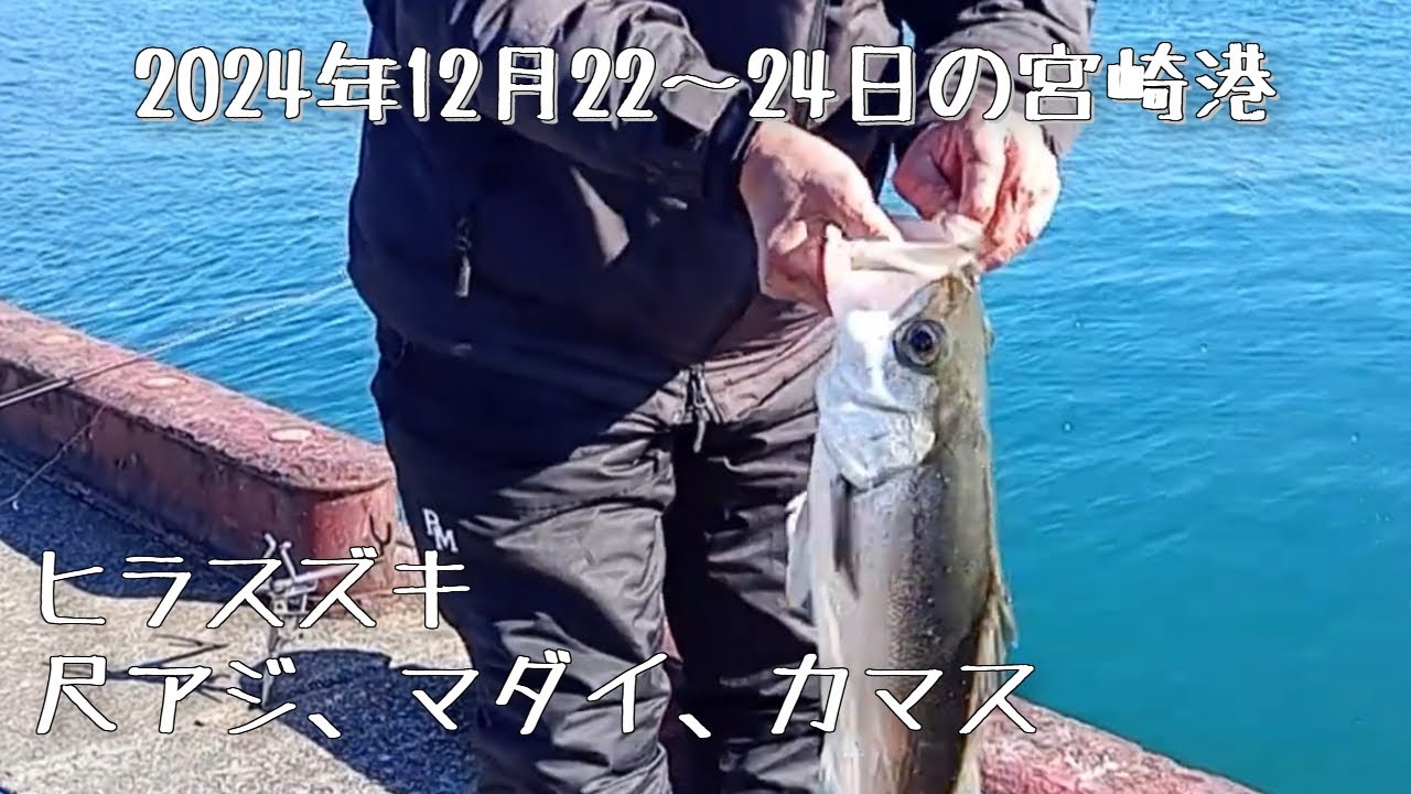 宮崎の海釣り 改訂版 宮崎の海釣り 日本の釣りシリーズ - メルカリ