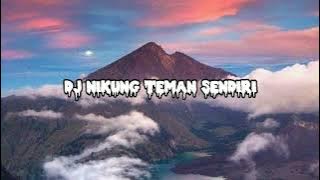 DJ NIKUNG TEMAN SENDIRI (RAFIK IBRAHIM) - DJ VIRAL DI FYP TIKTOK 2022