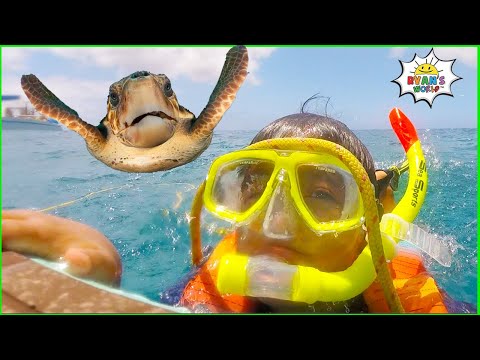 Ryan's Snorkeling in the Ocean with Turtles!