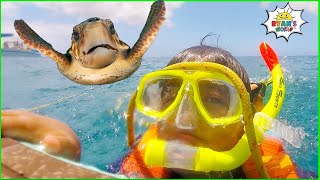 ryans snorkeling in the ocean with turtles