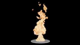 Sandia 1 meter methane pool fire