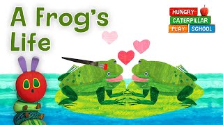 Hungry Caterpillar Short Stories #11 - Life Cycle of a Frog | StoryToys Games screenshot 5