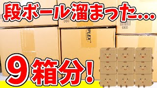 【鬼滅の刃】溜まったダンボール開封したら忘れてた〇〇入ってた！