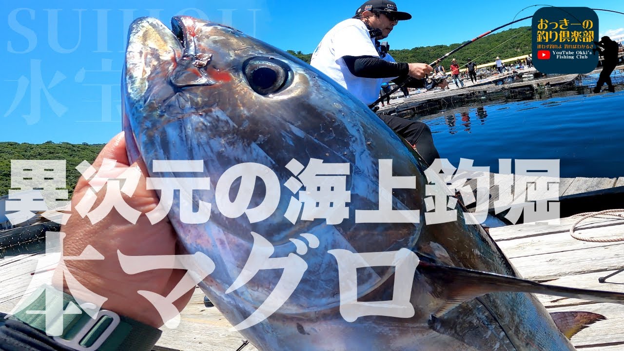 鰹.鮪 一本釣用 竿 - ロッド