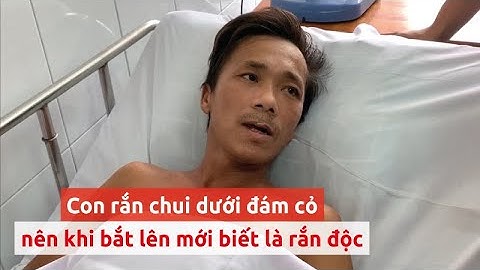Người đàn ông bị rắn hổ mang chúa cắn kể lại giây phút sinh tử - PLO