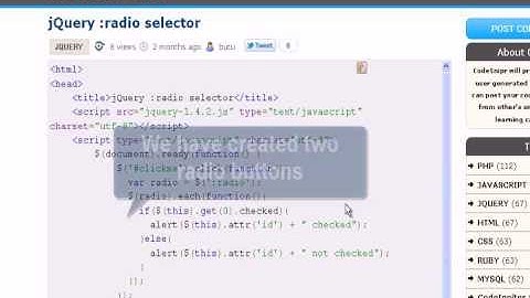 JQUERY Tutorial : jQuery radio selector