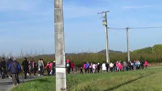 Granges Sur Lot Octobre Rose