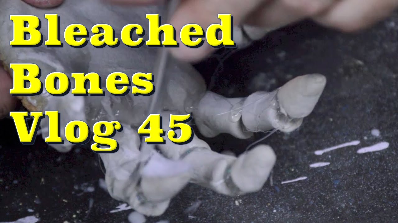 Quick Corpsing of Paper Clay Hands - Bleach Bones Vlog 45