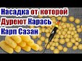 Самая Уловистая Насадка на Карася. Карась Карп Сазан Рыболовная насадка для Карася