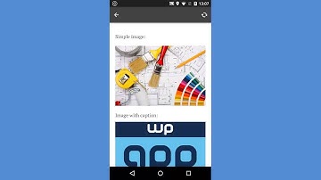 WP-AppKit - Image Zooming With PhotoSwipe