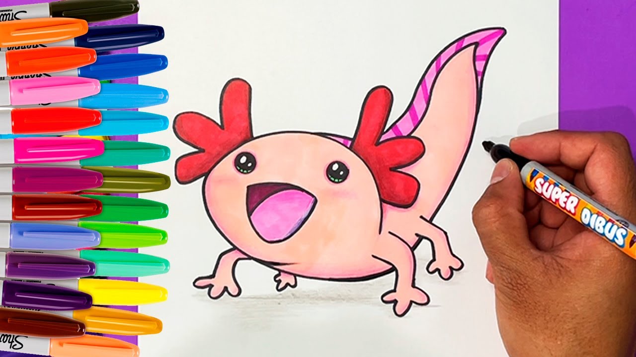 COMO DIBUJAR A UN AXOLOTE MEXICANO KAWAII | How to draw a Mexican Axolotl - YouTube