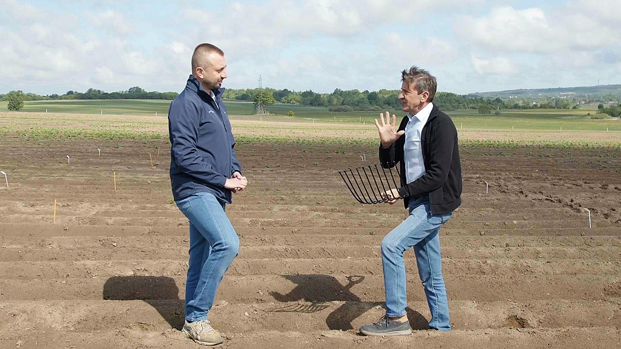 Bitwa o Bulwę, odc. 1. Walka o plon ziemniaka zaczyna się wiosną