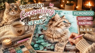 Moment cocooning DP et bla-bla avec ce chat de chez #picmondoo 🐈🐈