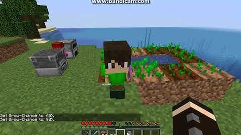 AcceleratorCraft 1.1 for 1.14.4 Forge Follow Up Overview