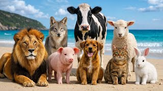 Learn Animal Sounds for Kids 🐶🐱🦁 screenshot 4