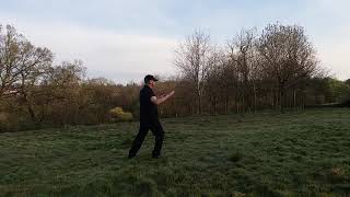 37 Step Cheng Man-Ching Form (First Section)