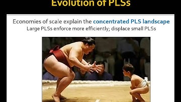 Path Dependence in the Development of Private Legal Systems