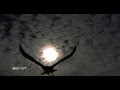 Raven Slow Motion Flight Silhouette Shot on Phantom HD Gold