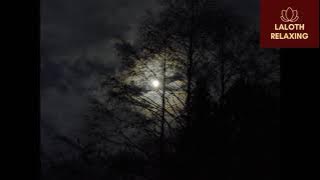 Download lagu SUARA MALAM HARI SUNYI | SUARA MALAM HARI DI GUNUNG | SUARA JANGKRIK PENGANTAR TIDUR