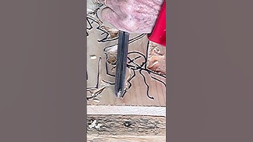 Carving Tree Roots