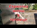 Жена устроила СТРИПТИЗ в теплице