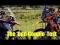 Test BMW G 310GS Versus KTM690 - The Odd Couple  - Rally Raid Products