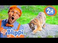 Blippi Visits a Zoo - Point Defiance Zoo | Blippi - Kids Playground | Educational Videos for Kids