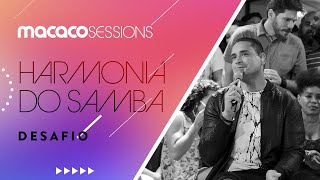 Harmonia do Samba -  Desafio | Macaco Sessions (Ao Vivo)